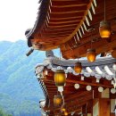 푸른숲식당 이미지