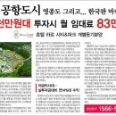 라르시티 이미지