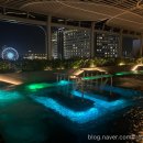 스위트 피피 이미지