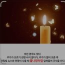 성당건어물 | [다낭] 한시장 쇼핑 후기｜포켓몬 카드 득템 + 필수 추천템 + 짝퉁 구별법 정리