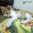 괴정2동-8 이미지