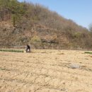 신왕농장 이미지