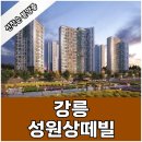 강릉 성원상떼빌 민간임대아파트 분양가 홍보관 정보 이미지