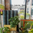 꼬기냉면 이미지