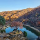 하동 이미지