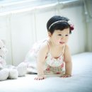 베르베르스튜디오