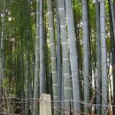 삼복주유소 이미지