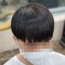 비오미장