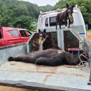 장부농장 이미지