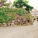 거로 능동산 방묘 Daum카페