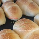 [맛집탐방/전남/장흥/미역]: 생미역 맛공장 &#34;영어조합법인에벤수산&#34; 방문 후기