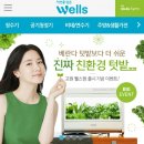 이영애농장 이미지