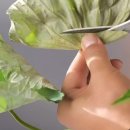꽃꽃이(플라워테라피) 네이버블로그