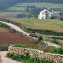 시골나그네민박 이미지