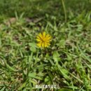 LG빌리지 3 ·4단지(아) | [충남|논산] 육군훈련소 인근 애견동반펜션_라온빌리지