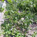 석산농장 이미지