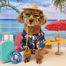 24시무인셀프카페 이미지