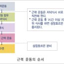 운동 성공하게 하는 근력운동 이미지