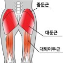 바른운동 이미지