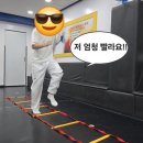 고려대단관태권도 이미지