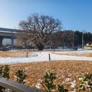 은행광장 이미지