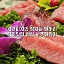 명문참치 | 삼성역 참치 맛집 사조회참치 삼성점 추천 차원 다른 삼성동 참다랑어 고급일식