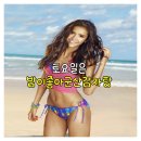 밥이좋아 | 토요일은 밥이좋아 군산감자탕 솔직 후기