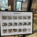 삼백돈돈가츠 | 동탄 라크몽 맛집 <삼백돈돈가츠> 삼백돈돈가츠,카레등심돈가츠 정식 후기