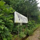 영춘농장 이미지