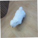 릴스퍼피 강아지분양 일산점 | 군포강아지분양, 퍼피에몽에서의 특별한 경험