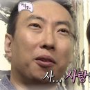 마벨미뇽 이미지