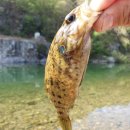 산내천 네이버블로그