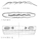 제 12 장 아파트 풍수 이미지