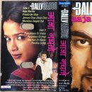 Bally Sagoo Feat. Hans Raj Hans(Indian)-Aaja Nachle(자!춤추자) 이미지