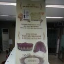 유덴처 치과기공소 네이버블로그