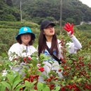 이기봉농장 이미지