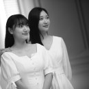 동백사진관 - 화성시 와우로 81-3 | 동백사진관