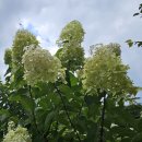 경기둘레길 양평29코스 이미지