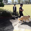 웅포중학교 이미지