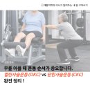 열린곽내과의원 | 무릎 아플 때 운동 순서가 중요합니다: 열린사슬운동(OKC) vs 닫힌사슬운동(CKC) 완전 정리. 수성구...