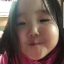 피티올로지 이미지