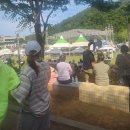 고령 멜빙축제 불호 후기 이딴게 축제라고? 이찬원 단독콘서트왔냐?!ㅡㅡ(2025.6.7 방문)