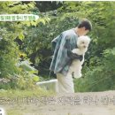 저도 가방쌌어요😘 이미지