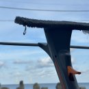 두발노래방 | 흐물흐물 휘어질 줄도 알아야하지 🪼