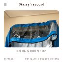 청소쟁이