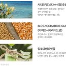 [내돈내산] 글로우 쿠션, 수분듬뿍 <b>피토레스코</b> 미스트 비비 쿠션 리뷰