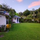 파르데스 이미지