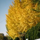 점곡초등학교 화장실 이미지