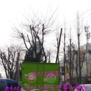 하안2동 주민센터 이미지