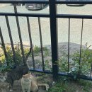 뷰델카라반펜션 이미지